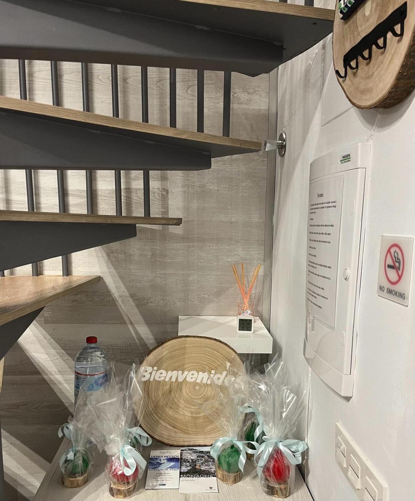 Biznaga Nevada Apartman Granada Kültér fotó