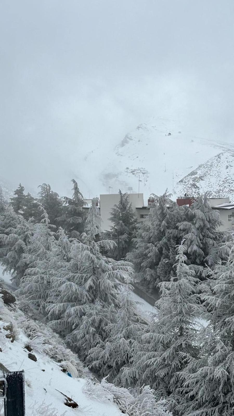 Biznaga Nevada Apartman Granada Kültér fotó