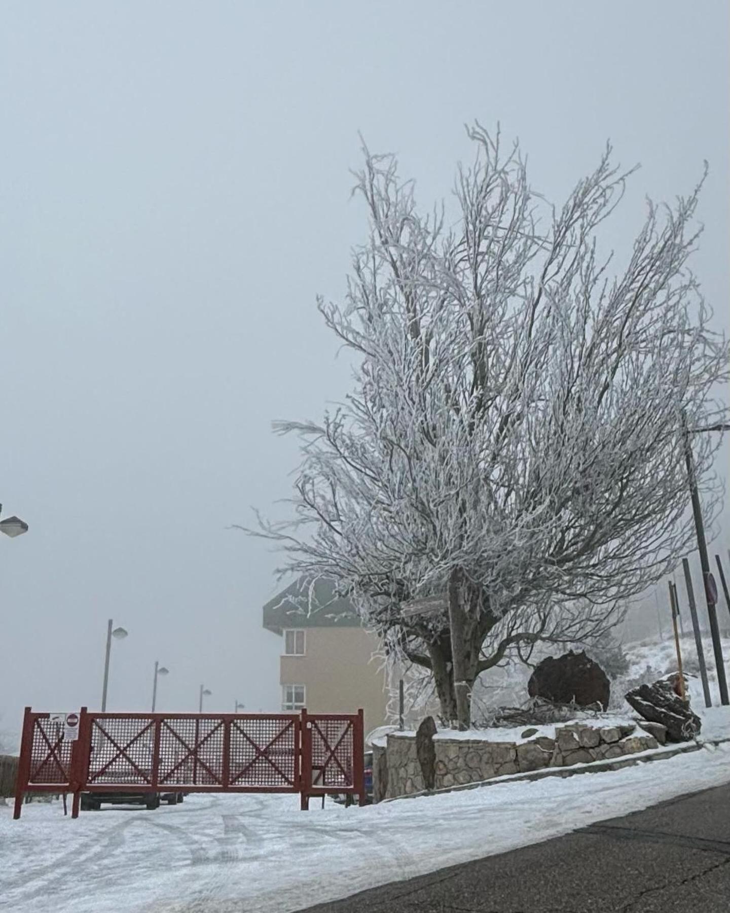 Biznaga Nevada Apartman Granada Kültér fotó