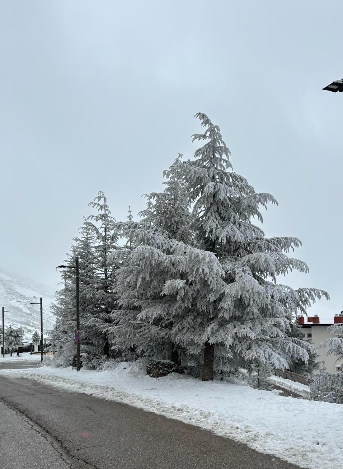 Biznaga Nevada Apartman Granada Kültér fotó
