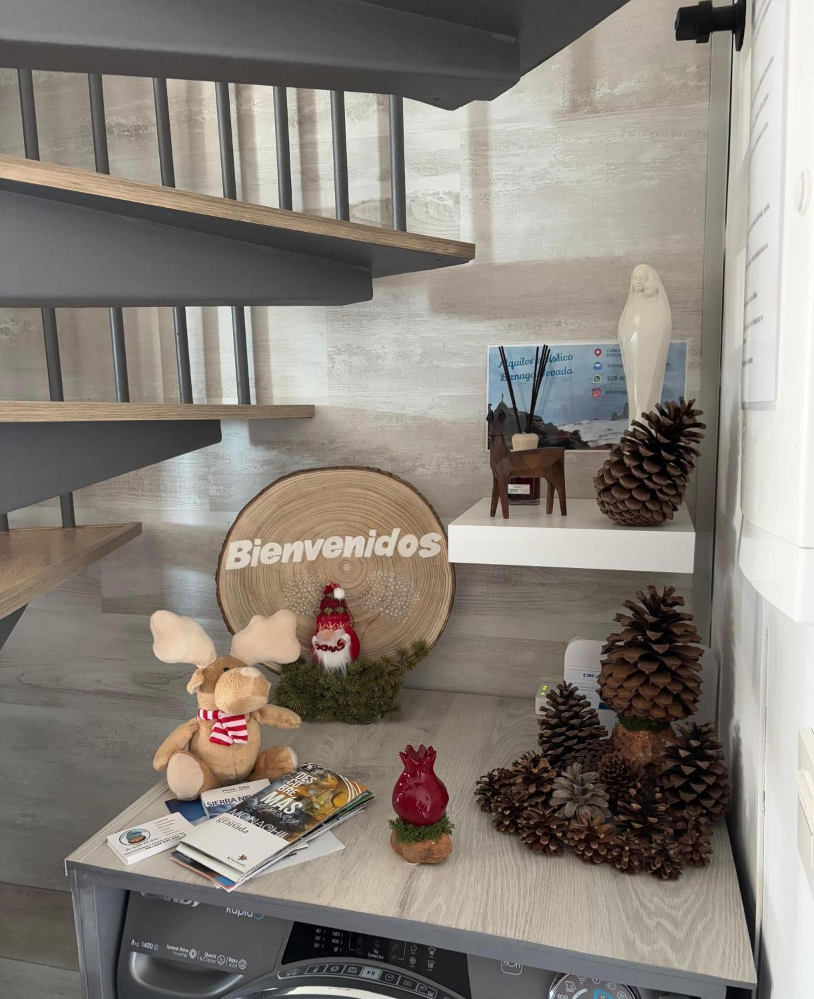 Biznaga Nevada Apartman Granada Kültér fotó
